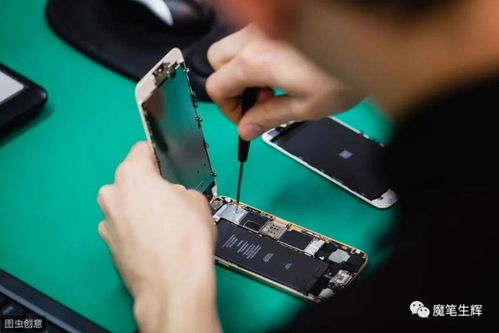 年輕人創業好項目,職場者做副業的好選擇,互聯網時代副業剛需